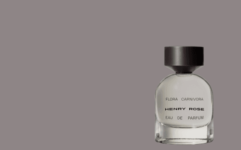 Perfume & cologne