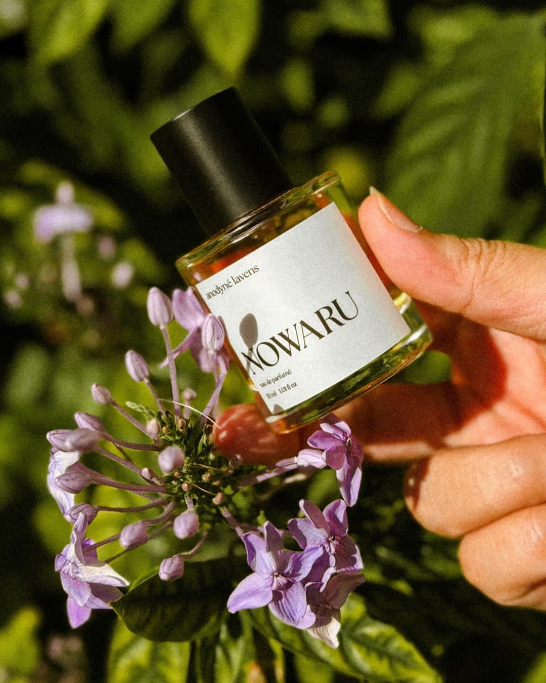 anodyné lavens cover