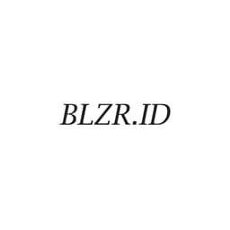 BLZR.ID logo